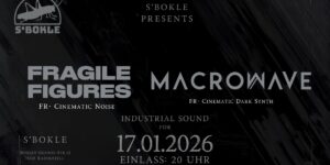Macrowave & Fragile Figures am 17.1.2026