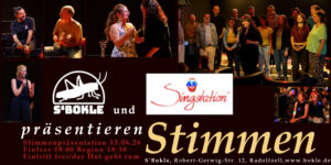 Singstation Stimmenpräsentation